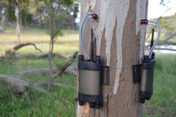 Multiple sap flow meters monitoring tree water usage